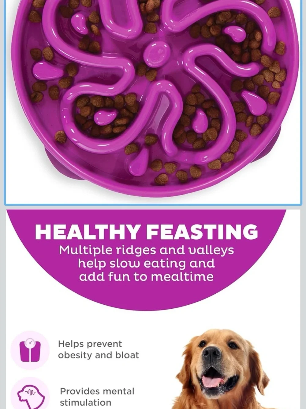 Outward Hound Purple Slow Feeder Dog Bowl - Interactive Maze Design